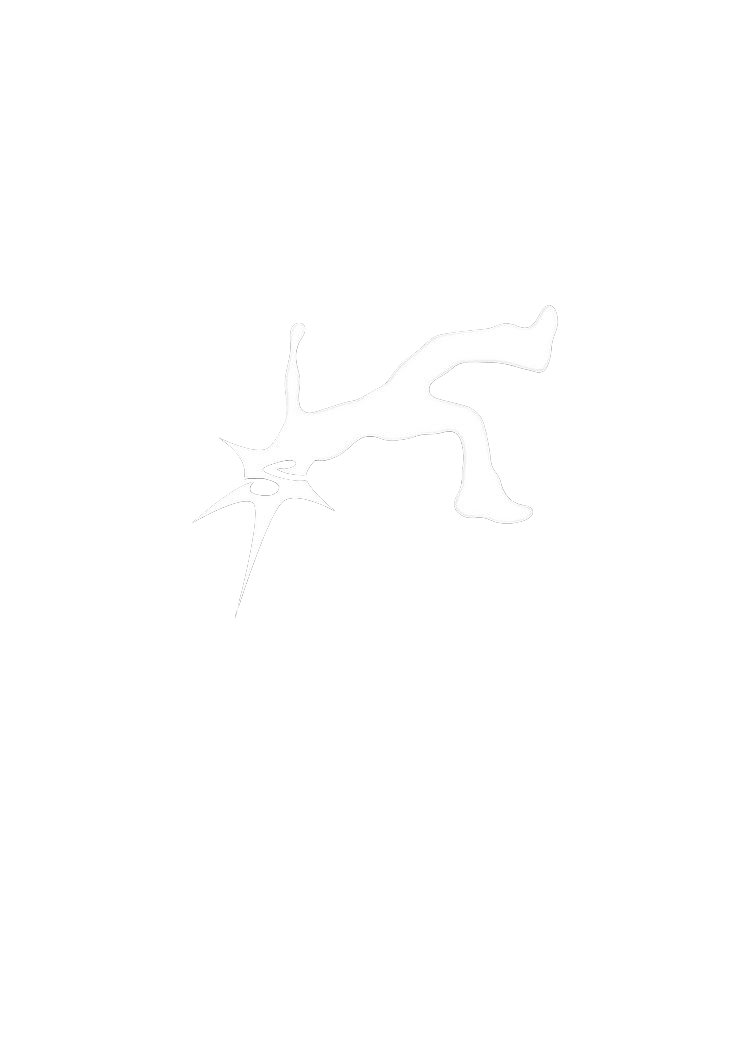 Starboi